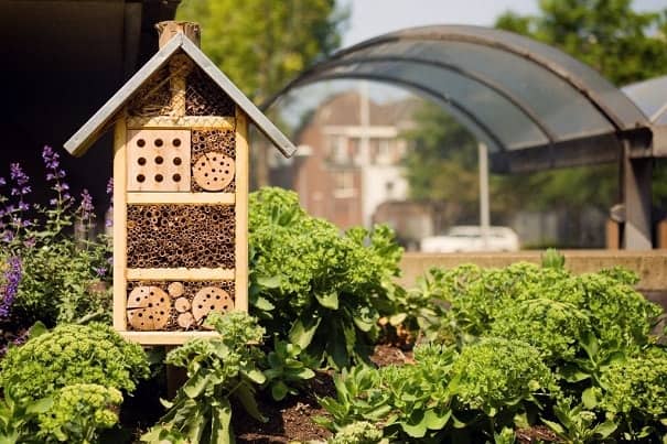 8 Best Mason Bee Houses