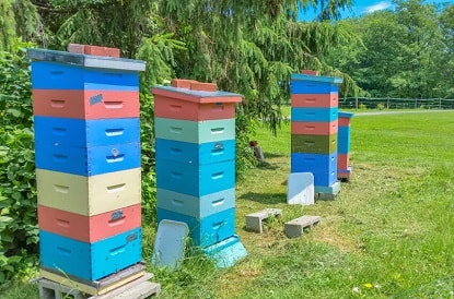 Accessible Beehives