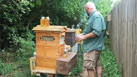 Beehaver vs Beekeeper