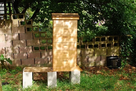 Beehive Off the Ground