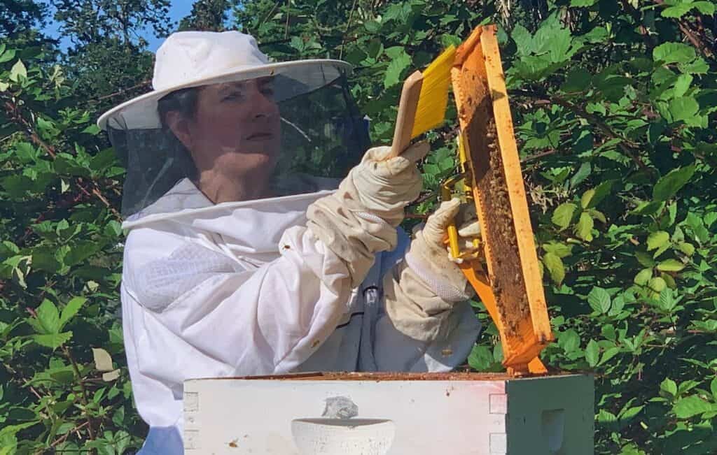 Beekeeper holding a hive tool and bee brush