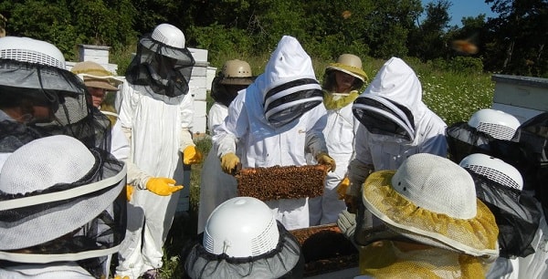 Beekeeping Class