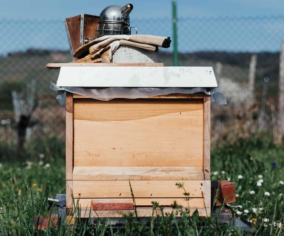Essential gifts for beekeepers