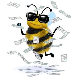 Total Cost of Beekeeping for the First Year