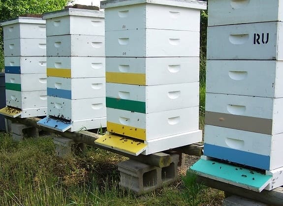 How to Move a Beehive a Short Distance