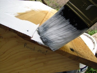 Applying a Primer Coat to a Beehive