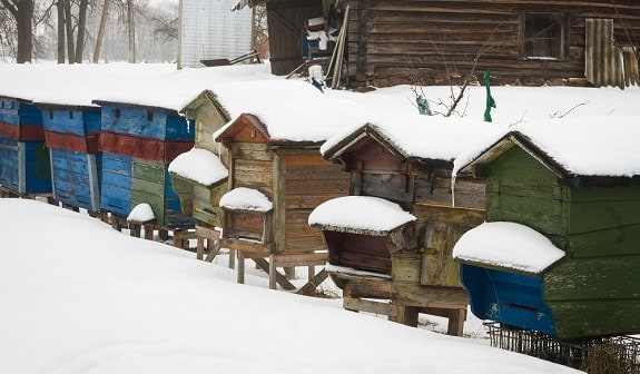 Beehives Covered in Snow