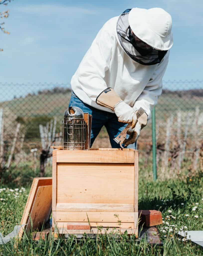 Beekeeper jackets with elastic wrists, gloves, and veil