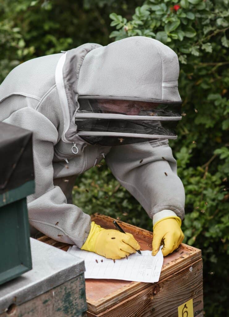 Beekeeper in full suit working in bee yard