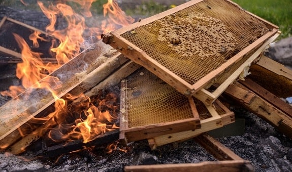 Beekeeping equipment in a fire