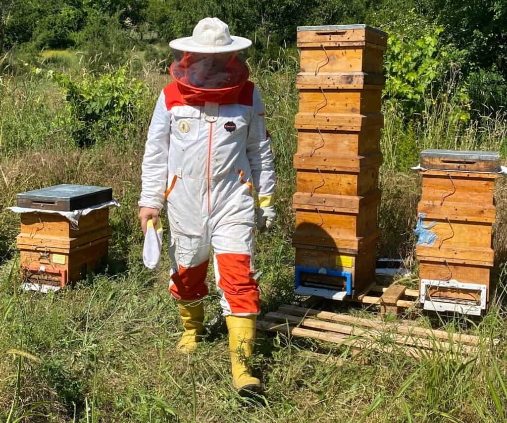 Best Beekeeping Suits