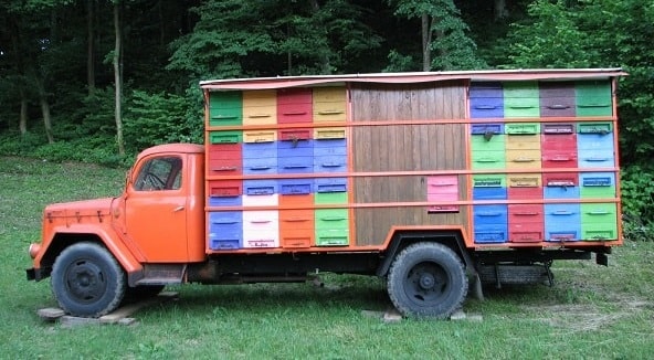 Different Color Painted Beehives on Truck