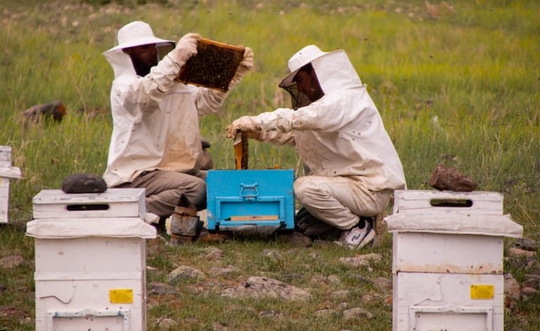 Health Benefits of Beekeeping