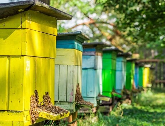 How to Paint a Beehive