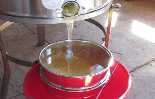 Microfiltration of Honey