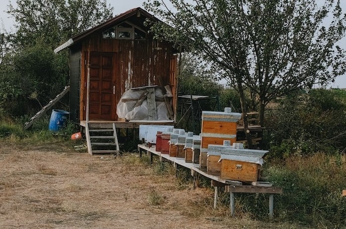 Start Beekeeping at Home