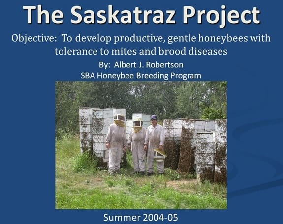 The Saskatraz Bee Project
