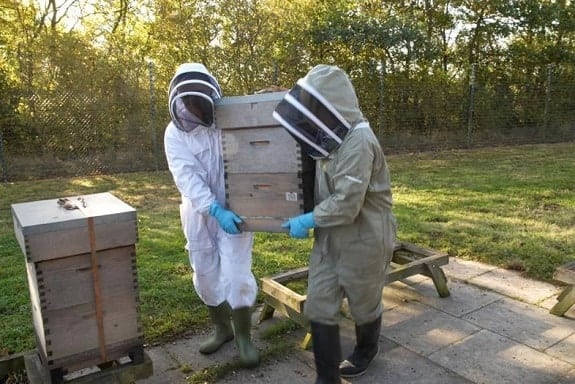 Two Beekeepers Moving a Beehive
