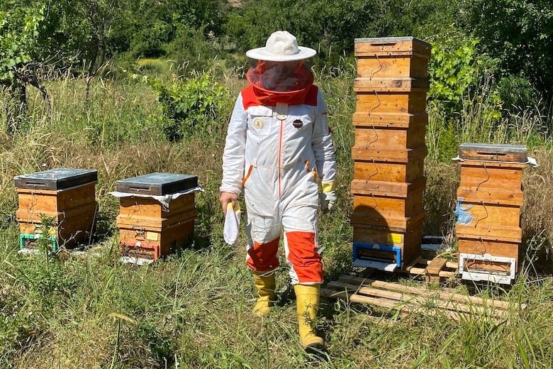 beekeeping is an outdoor activity