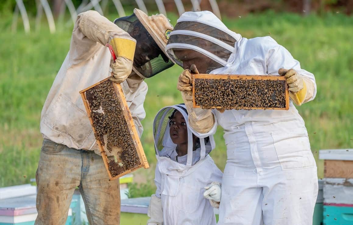 benefits of beekeeping