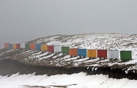 Beehives in winter