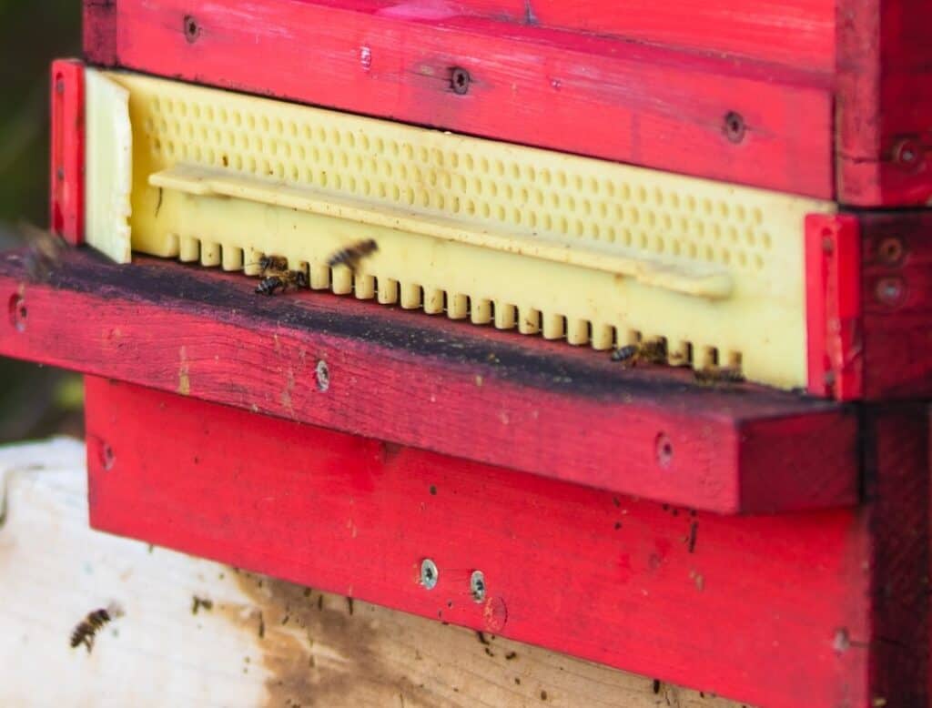 Entrance reducer on beehive