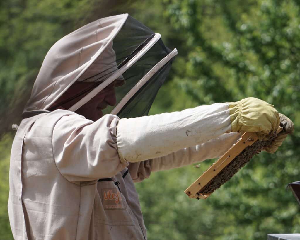 Some beekeeping gloves extend up to the elbow for added protection when working in the hives