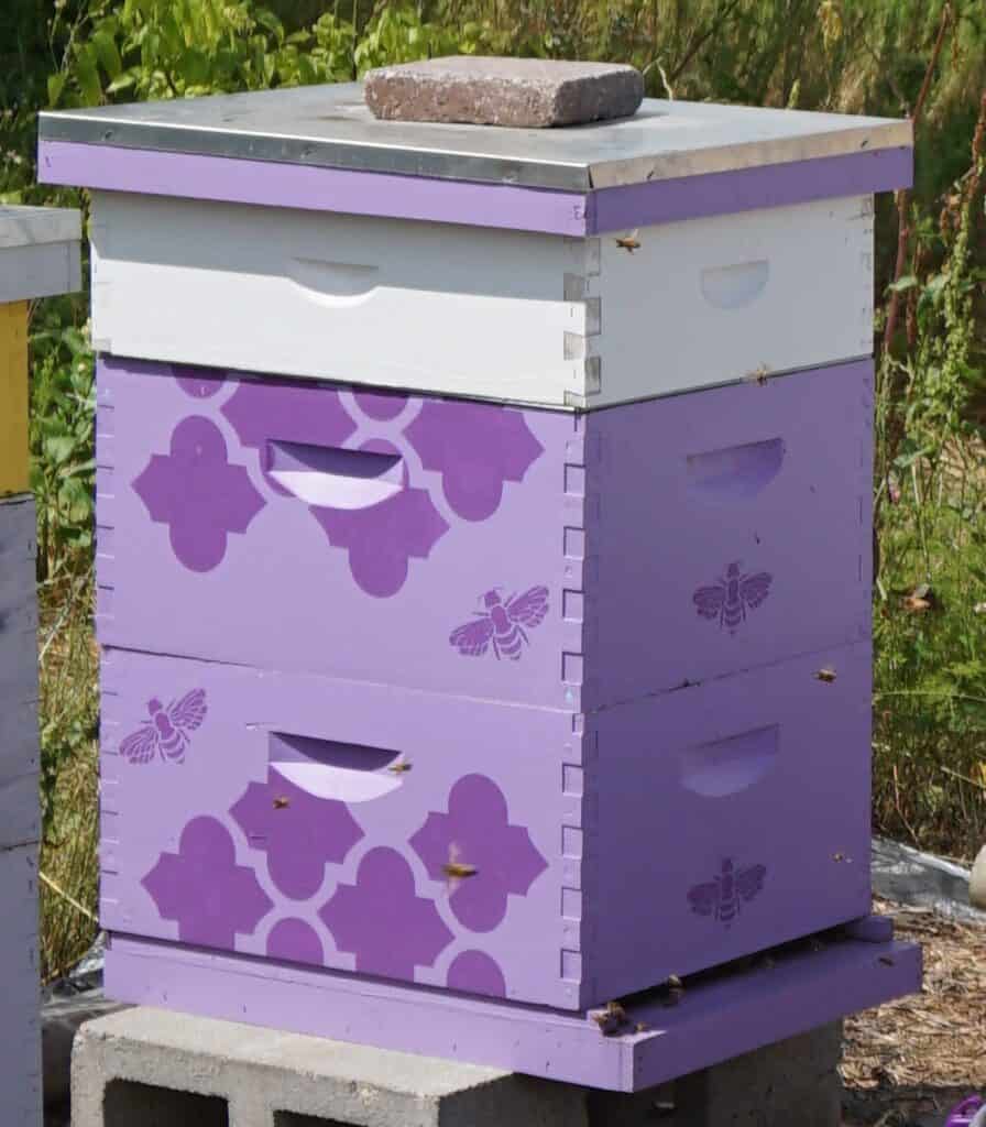 There are other hives for your bee colonies
