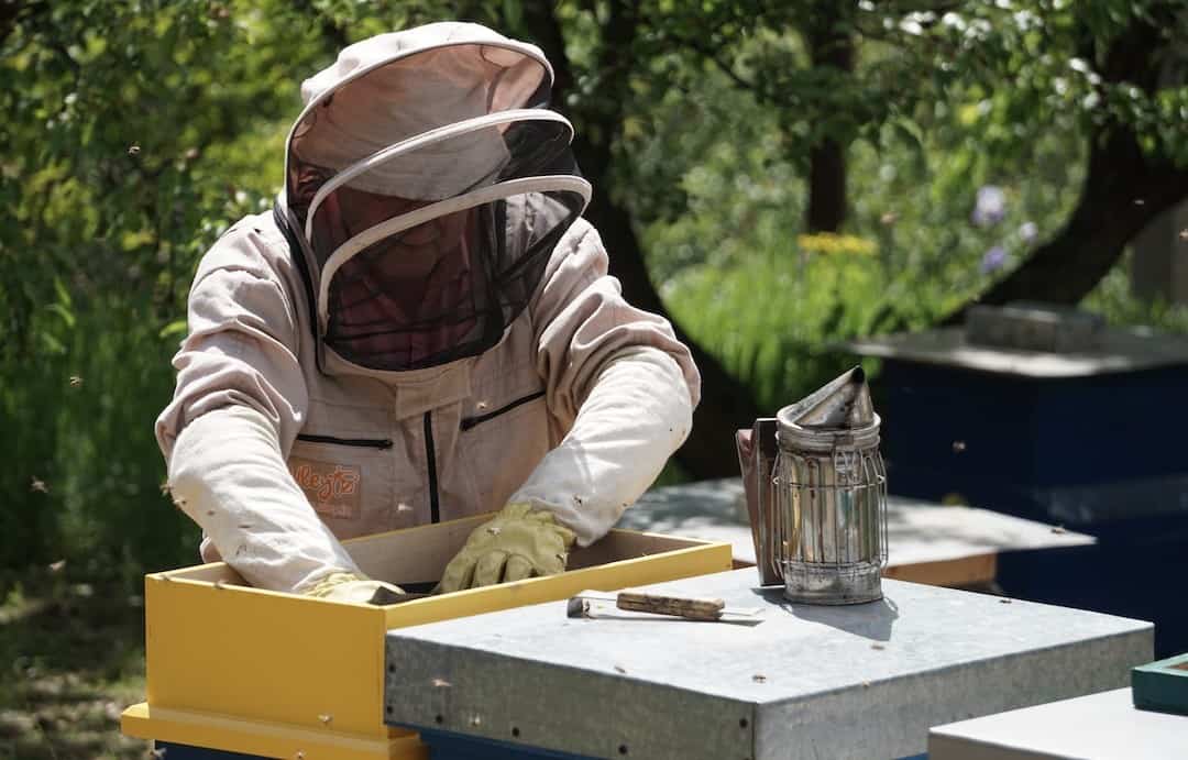 real cost of beekeeping