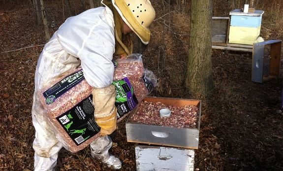 Beekeeper Preparing Beehive for Winter