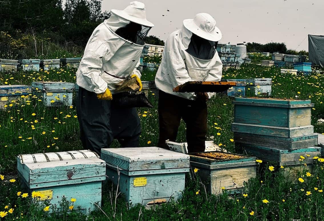 Beekeeping Terms