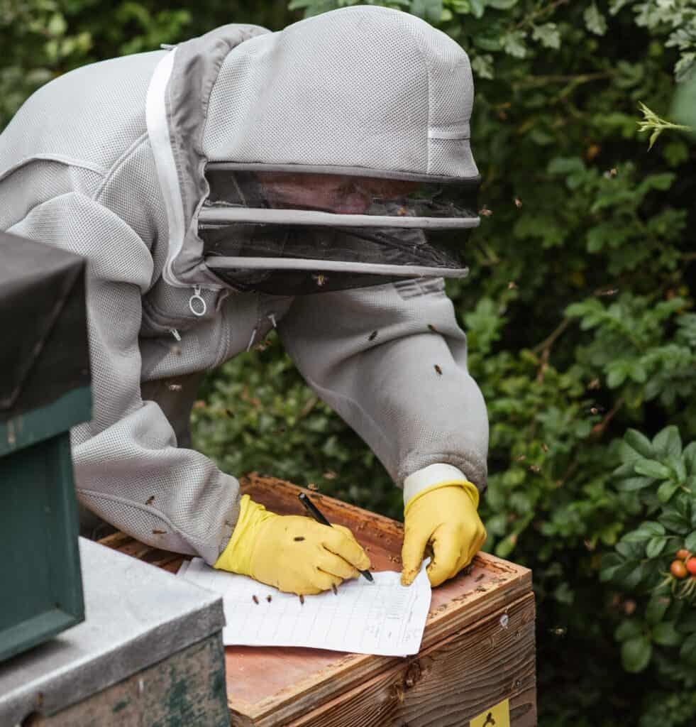 Beekeeping terms