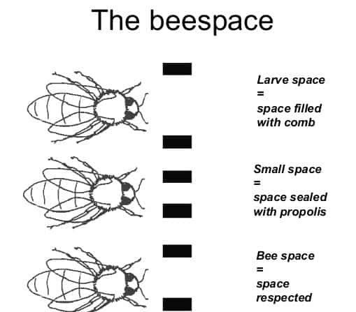 The Bee Space Explained