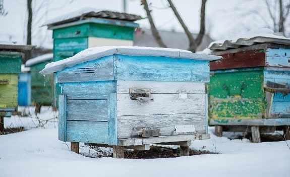Winterizing Beehives 101