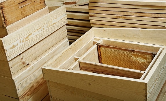 Empty Beehive Construction