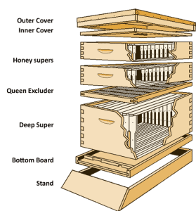 3 Things You MUST Consider Before Adding Honey Supers to a New Hive ...