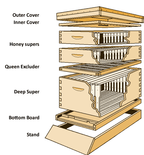Langstroth Hive Diagram