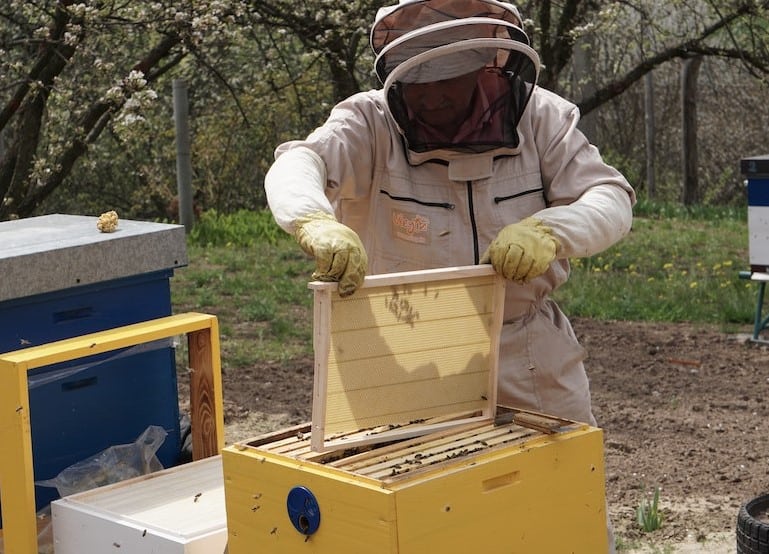 Treating the hive