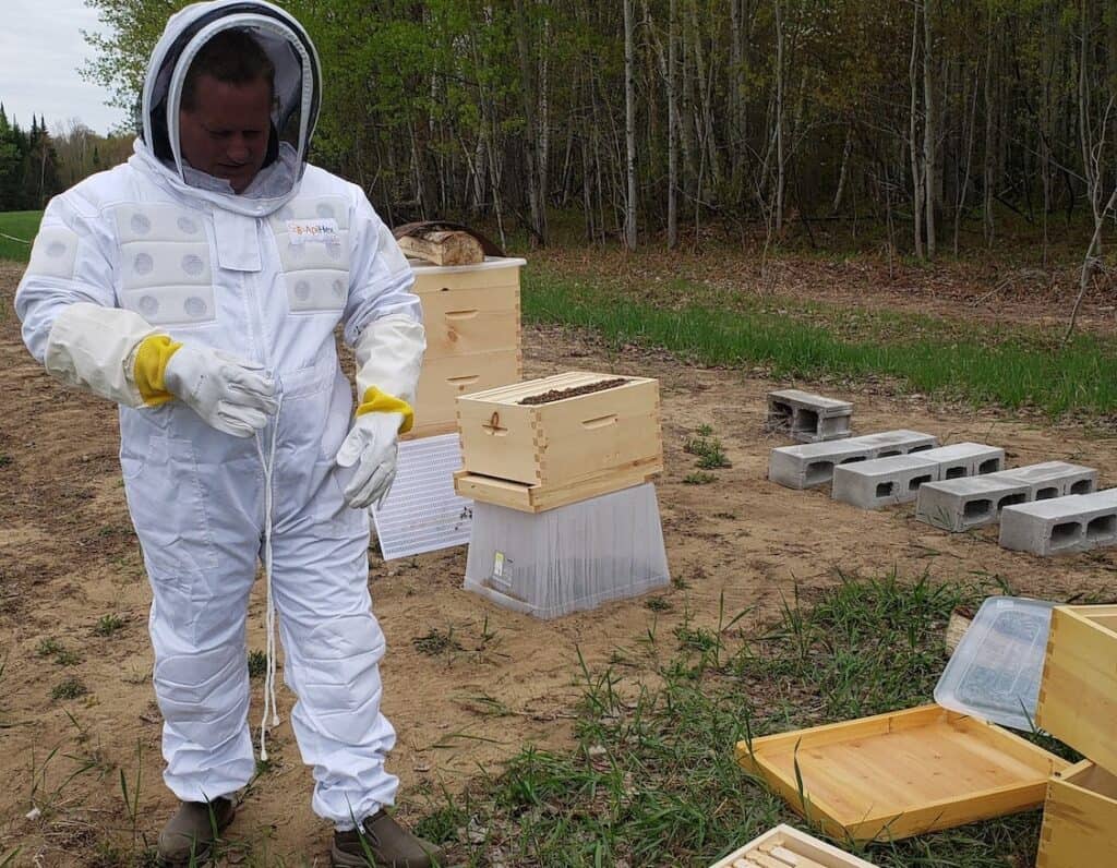 Beekeeper working on the apiary