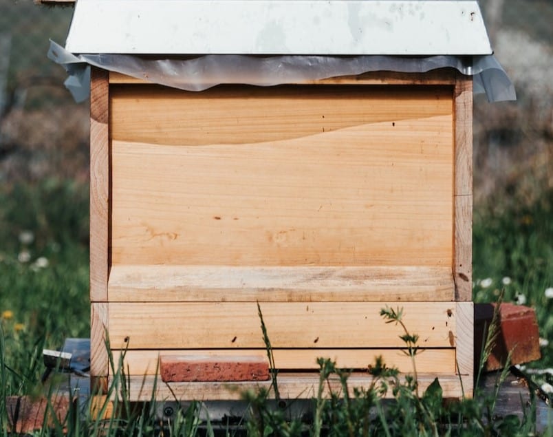 Plywood Hive