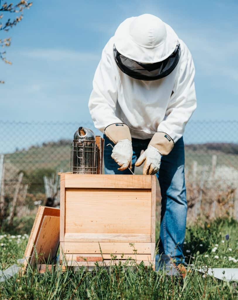 Beekeeper working in open area