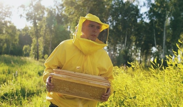 Honey extractors for beekeepers