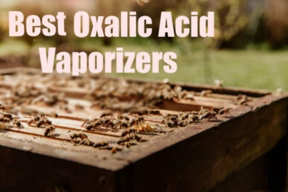 Best Oxalic Acid Vaporizer