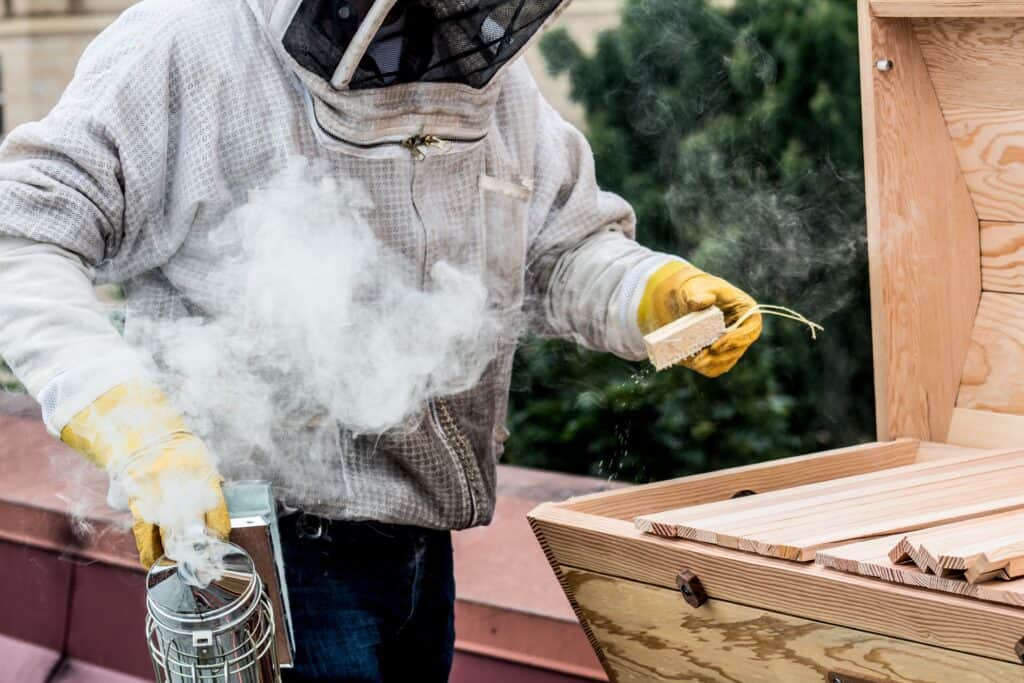 Add top bar hives in your own apiary