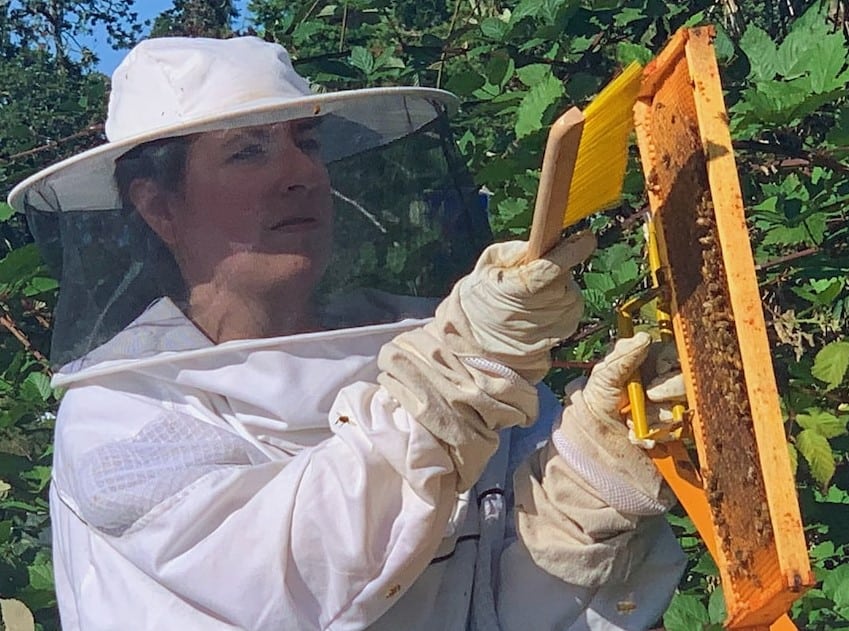Brushing off bees on the comb
