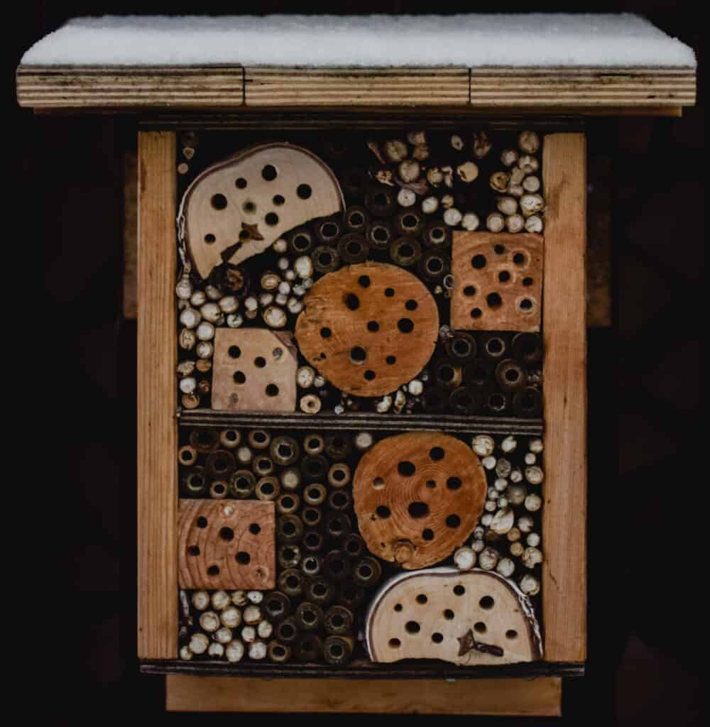 Bee house for mason bees