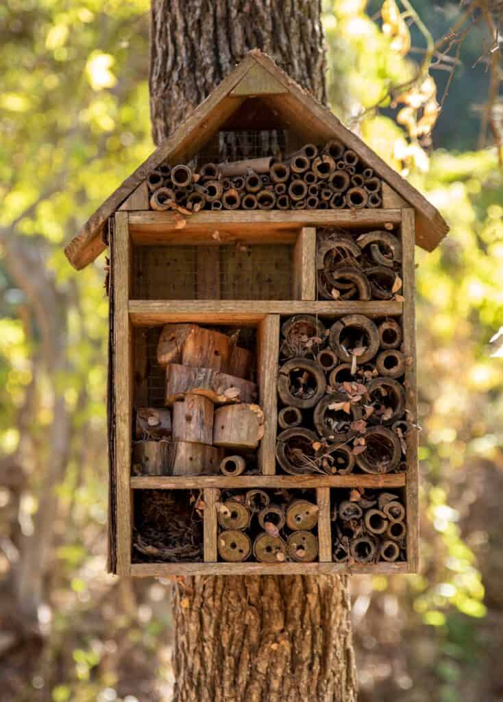 8 Best Mason Bee Houses That Professional Beekeepers Swear By ...