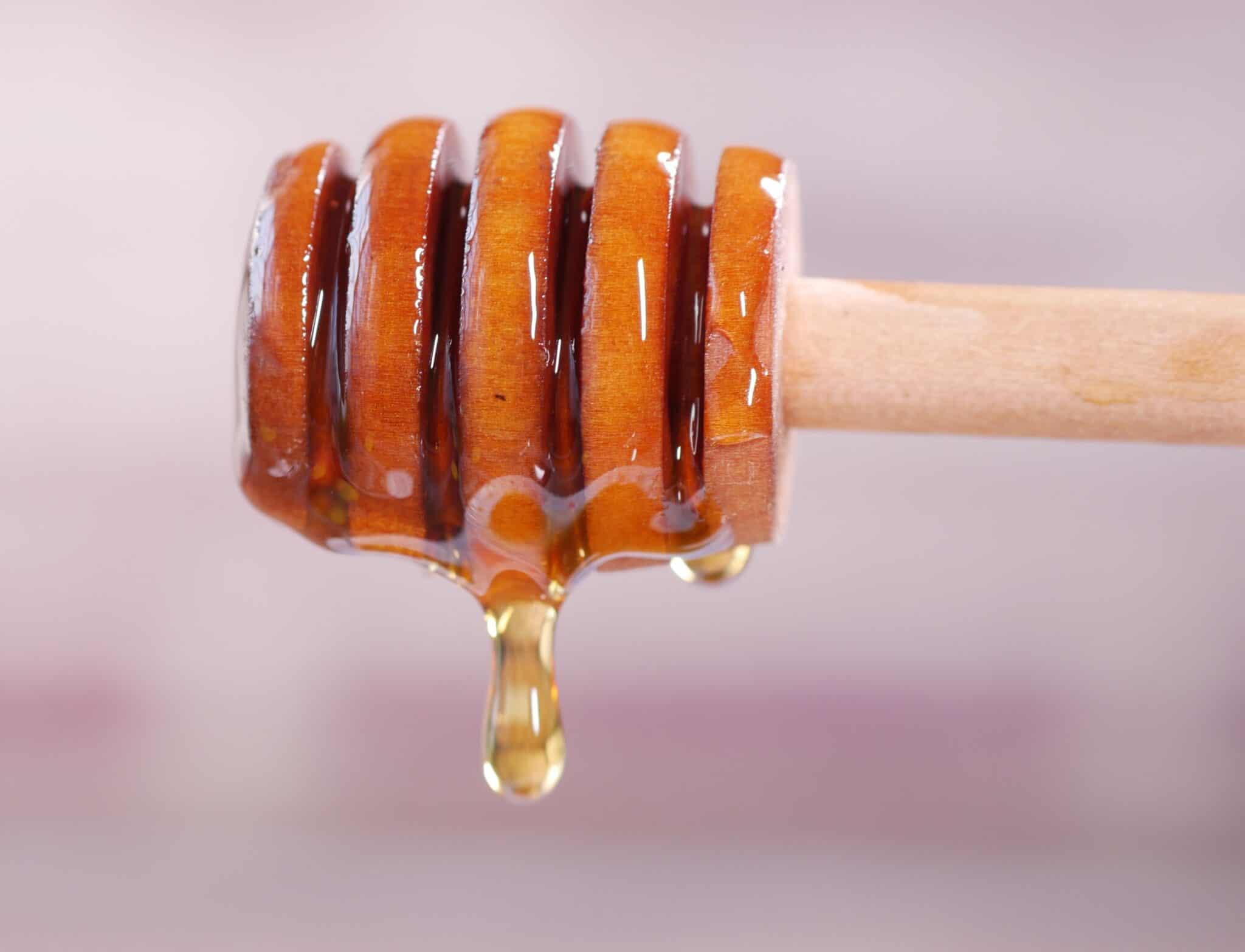 The Best Honey Dipper For Even Spreading Beekeeping 101