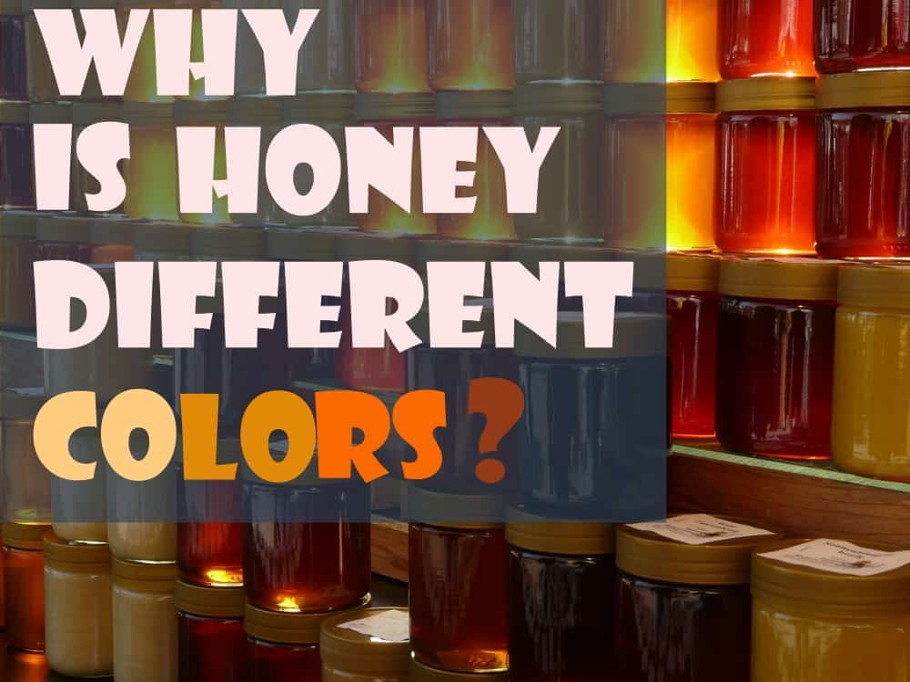 honey color