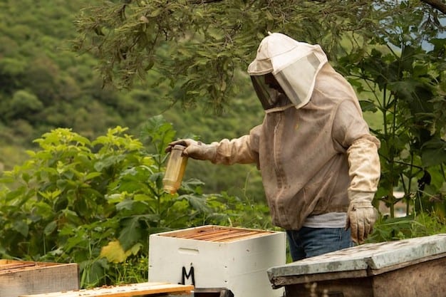 Beekeeper feeding bees